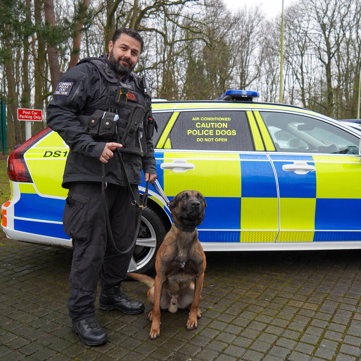 Brothers, PD Quake, PD Viper and PD Blaze are following in their dad’s (PD Echo) footsteps and have licensed as Firearms Support Dogs

👏 Congratulations all!