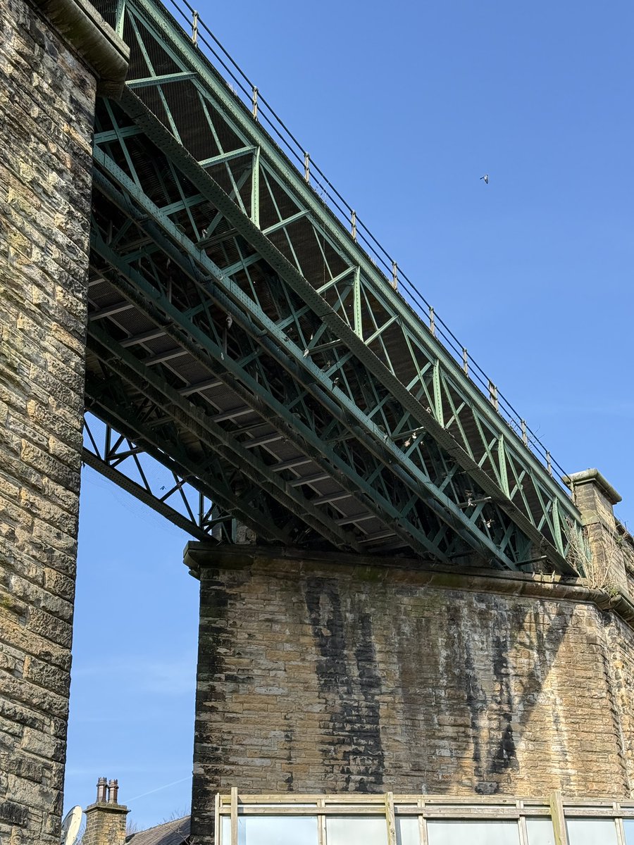 HolmfirthPhoto1's tweet photo. Is this right?
Dead birds caught in pigeon netting over a section of road under the railway bridge in Huddersfield.. trapped and left to die in the most inhumane way. The section of bridge in question is over Longroyd Lane @northernassist @RSPCA_official @Carolinenewsome https://t.co/itGt64ESyj