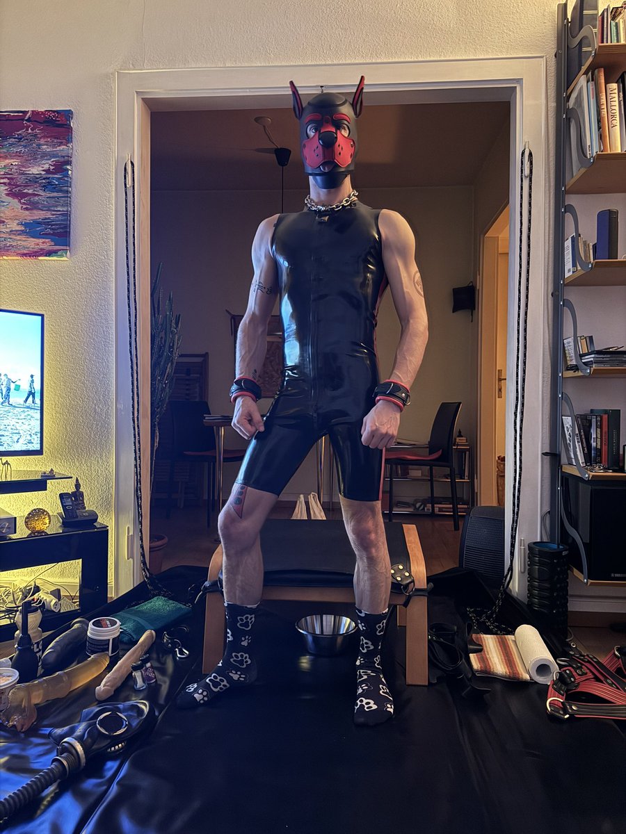 SpykeFFPup tweet media