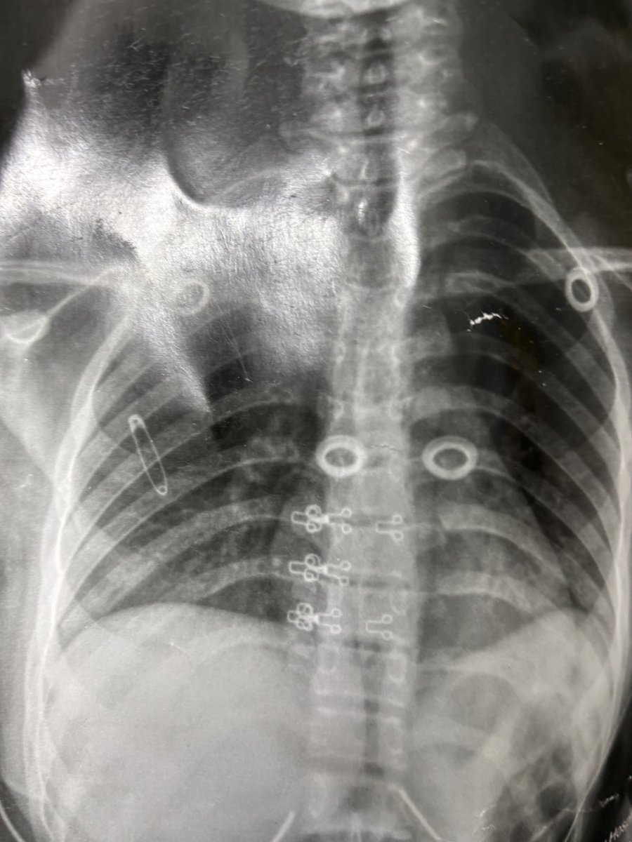 ساعات بحب حالات العيادة ❤️
Just دبوث👈🏻👉🏻