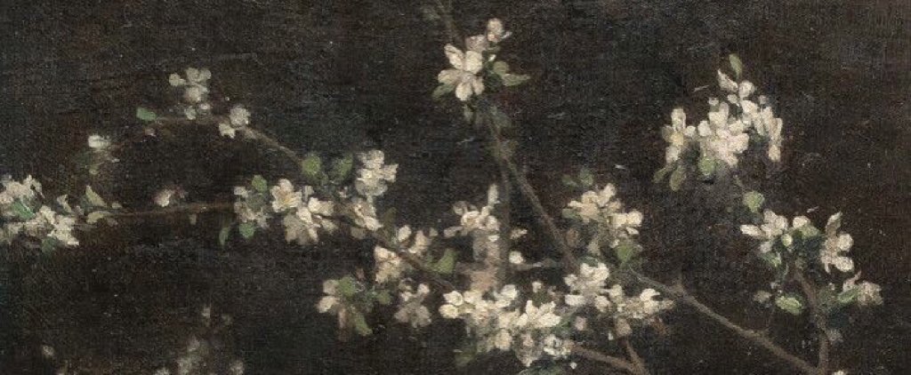 deipendability's tweet image. 