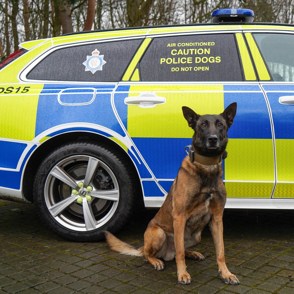 PD Echo getting in on the 📸 as well.