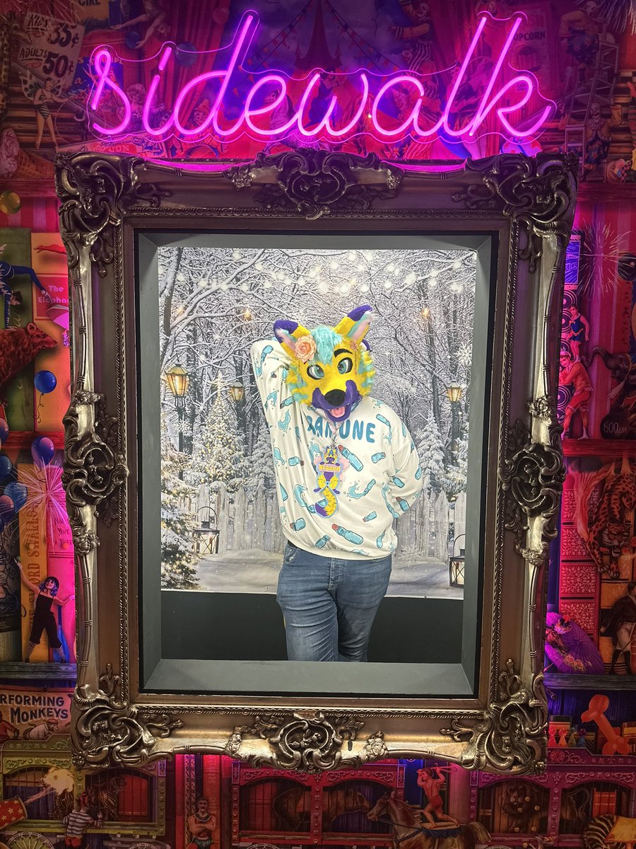 BlazenTigerFolf's tweet photo. It wouldn’t be a trip to @BrumFurs without a photo in the iconic Sidewalk Picture Frame! Gotta strike all the signature poses 🤩🙌🏼

📸: @marlynfoxxo 
🪡: @HouseOfCardsFur https://t.co/EkgsxFbVAy