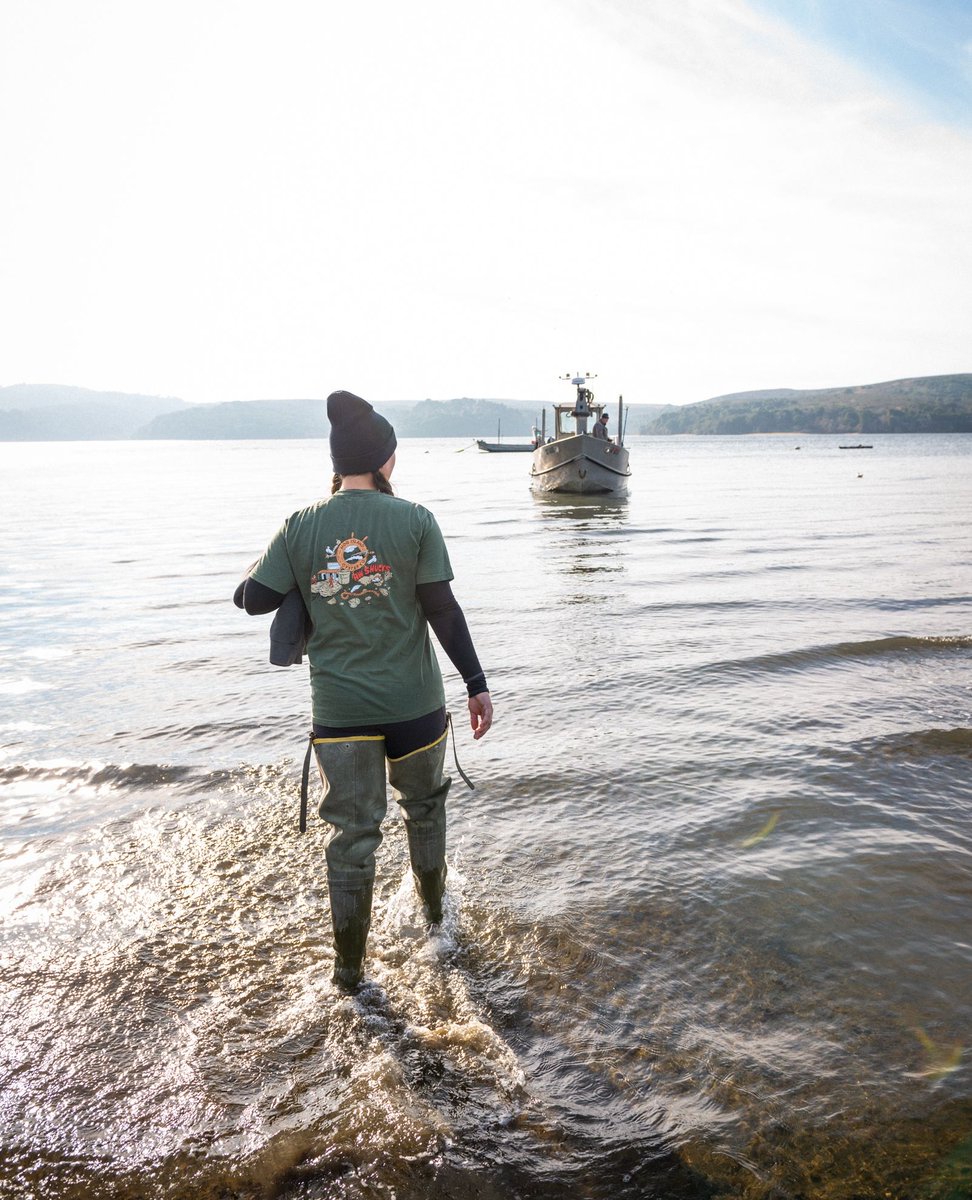 As we celebrate International Women’s Day, we’re feelin’ the love for all the awesome women who work here—not just today, but every day. So give ‘em a round of applause for all the amazing things they do to keep us shuckin’ along! 👏 // #HogIslandOysterCo #InternationalWomensDay