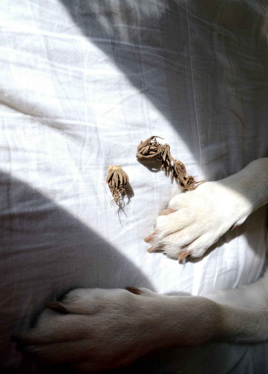 Vira Kuryko (@virakurlyko) on Twitter photo 