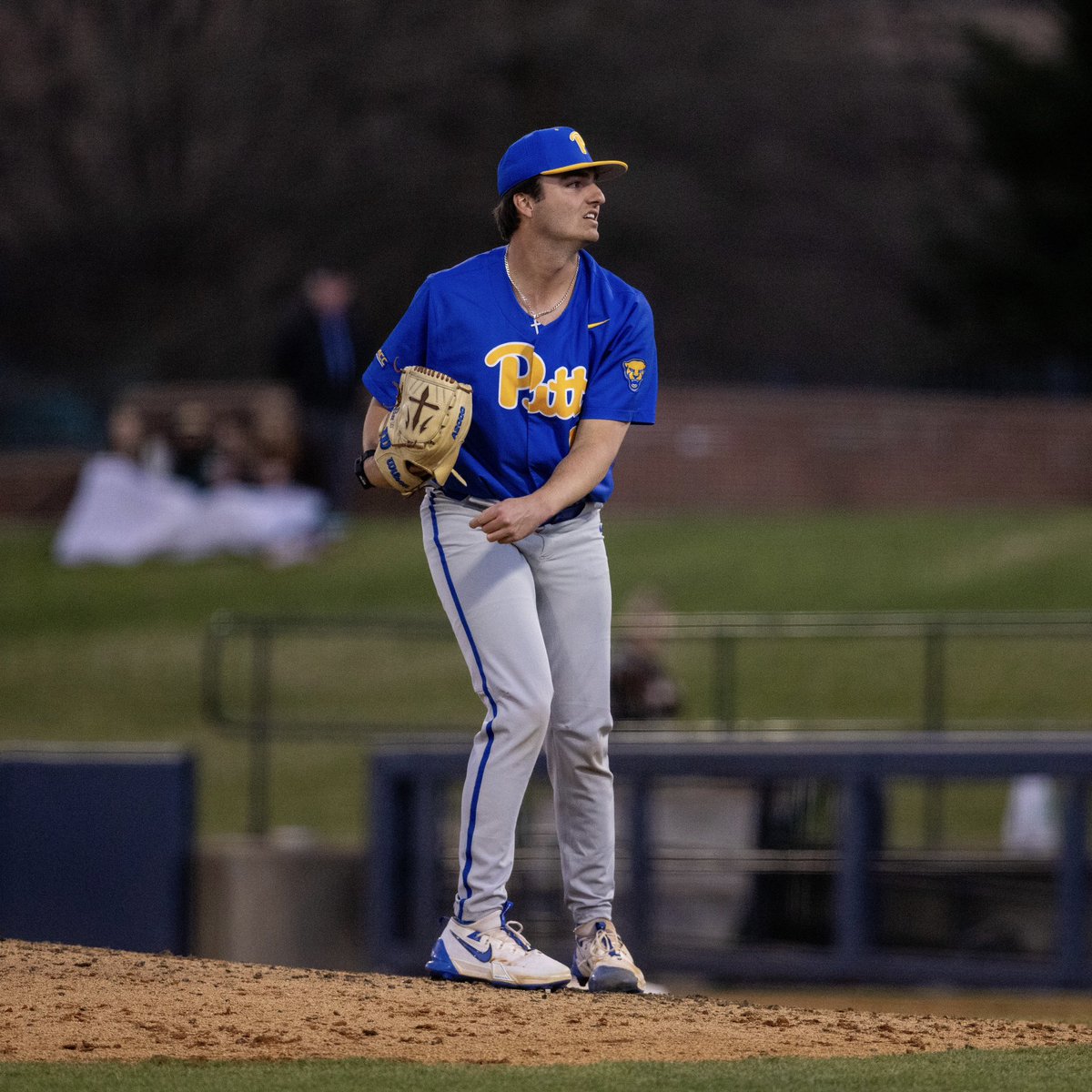 Pitt Baseball tweet media