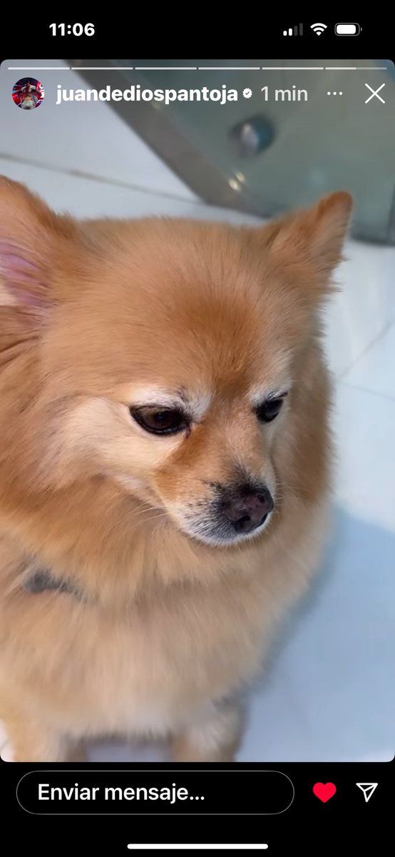 Pero qué hermoso está jukito 🥹💞
<a href="/Juandedios_P/">JD PANTOJA 🇲🇽</a>