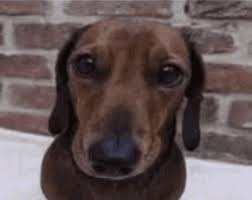 Vector1239's tweet image. 