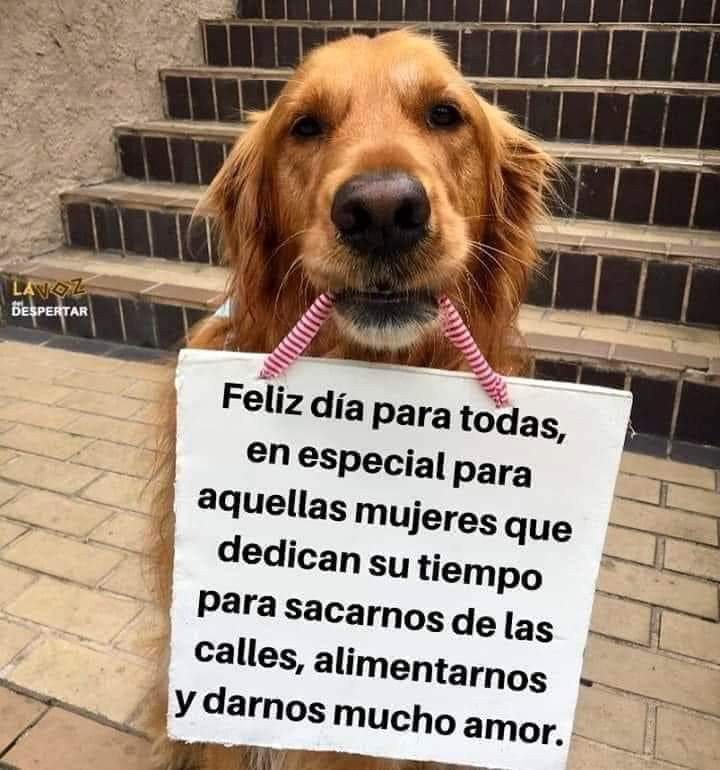✨💖🌹 Feliz día de la mujer  ✨💖🌹