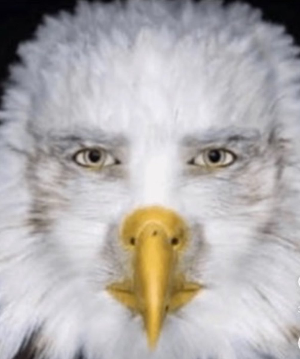 WIACLeon's tweet image. AXE IS SWINGING. 6 stella artious down. This kid looks like miles’s baby fucking boy.