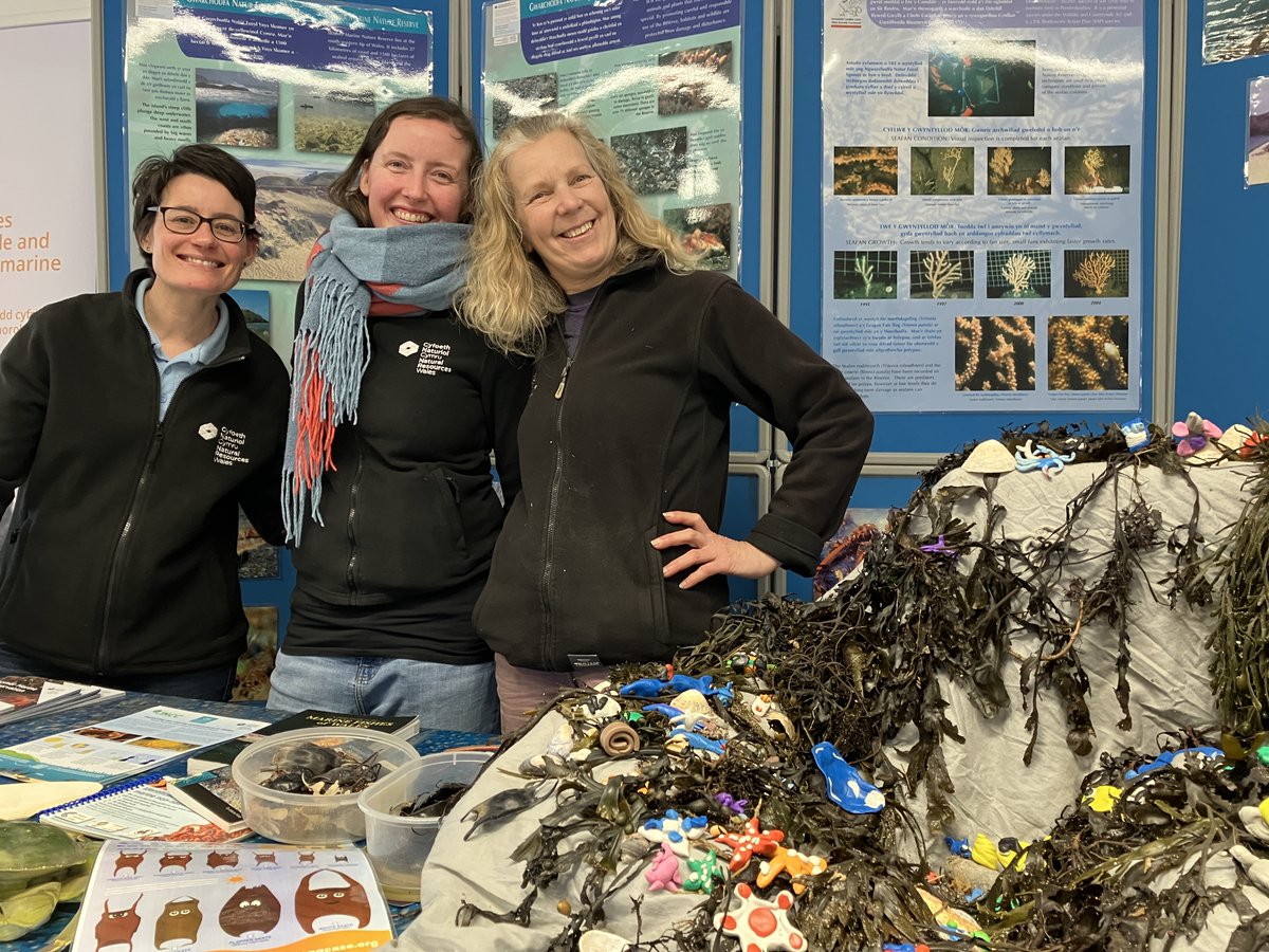 Pembrokeshire Marine Wildlife tweet media