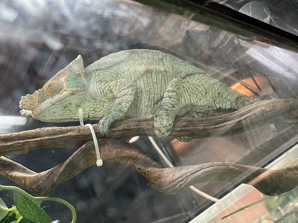 福利姬K.4iLeNt分享的黄推图片4 - 网红私拍内容