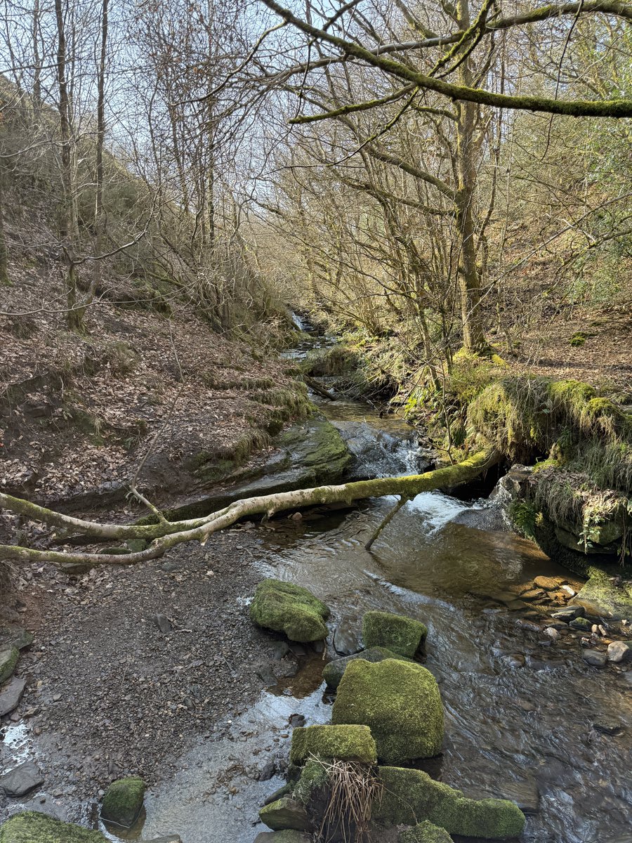 Afternoon stroll in spring sunshine