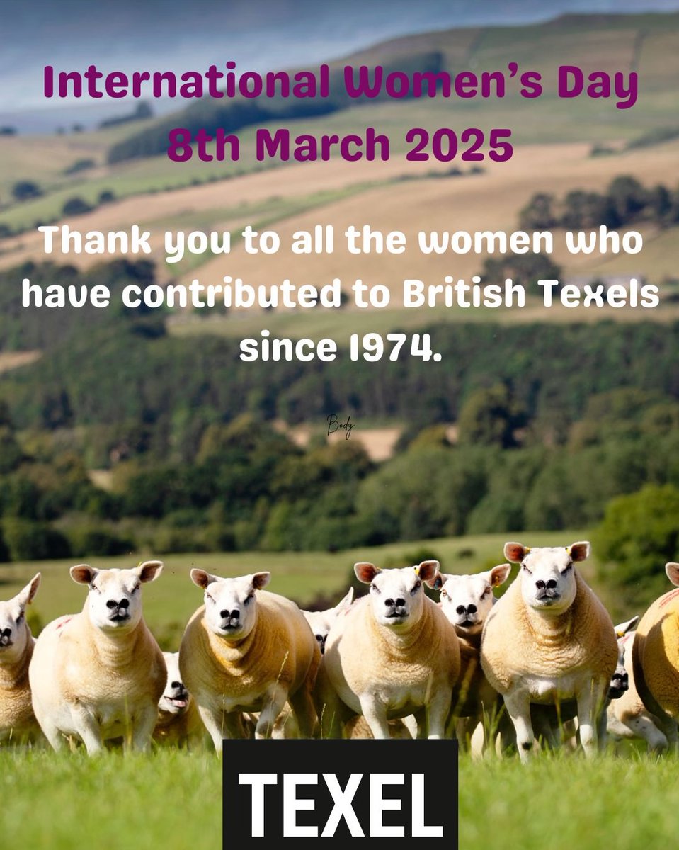BritishTexel's tweet photo. This International Women’s Day the Society is paying tribute to the legions of women who have contributed to the success of British Texels.
Whether as Society members, supporters, staff or in a role working with one of the many organisations the Society interacts with every year. https://t.co/prLCYABEa2