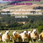 Photo by British Texel Sheep (@BritishTexel)
