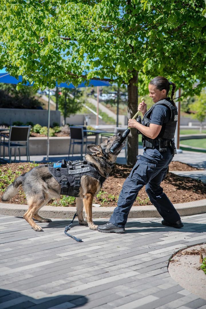 DenverSheriff's tweet image. Don&apos;t let the smile and tug toy fool you – these two mean business! 🐕‍🦺💙 #SaturdaySparkOfJoy! #DSDEst1902 #WorkingDogsOfTwitter 
📸 Credit: Dave Talbot w/ Charles Schwab