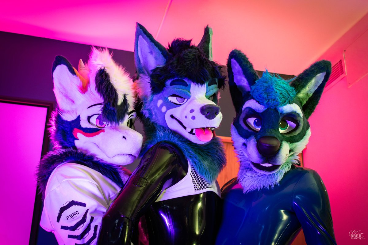 Fizzark (@karufizzy) on Twitter photo Party animals~โจ
w/ <a href="/starkthedragon/">Stark</a> <a href="/ChaserMcNub/">๐๐ฉ๐ข๐ด๐ฆ</a>
๐ท <a href="/BrekWoof/">๐ฝ๐๐๐ โก๏ธ @brek.bsky.social</a>
#SqueakySaturday Party animals~โจ
w/ <a href="/starkthedragon/">Stark</a> <a href="/ChaserMcNub/">๐๐ฉ๐ข๐ด๐ฆ</a>
๐ท <a href="/BrekWoof/">๐ฝ๐๐๐ โก๏ธ @brek.bsky.social</a>
#SqueakySaturday