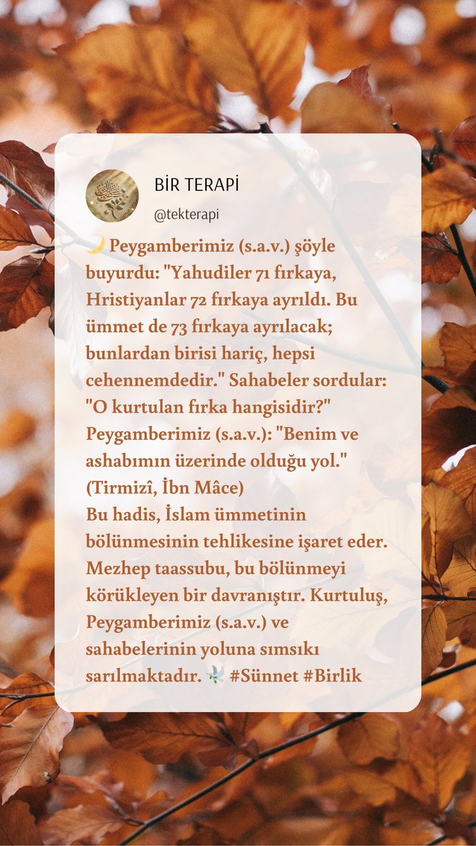 tekterapi's tweet image. #Cadılık #AlevilerKatlediliyor #düşünelim #ilkiş #Iftar  #oruç #sünnet #birlik