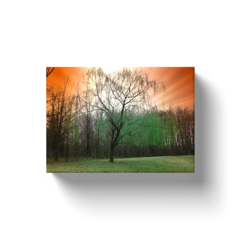 NateHartPrints's tweet image. 🌳 Mystical Tree Canvas Wraps – Bring the magic of nature into your space with this stunning design! Perfect for creating a calm, serene atmosphere. ✨

 Order now! 👉 printsbynatehart.com/collections/na…
#MysticalTree #NatureArt #CanvasWraps #HomeDecor #WallArt #NatureInspired #SereneSpaces