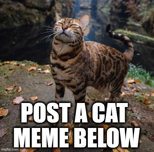 Brock Riddick tweet media