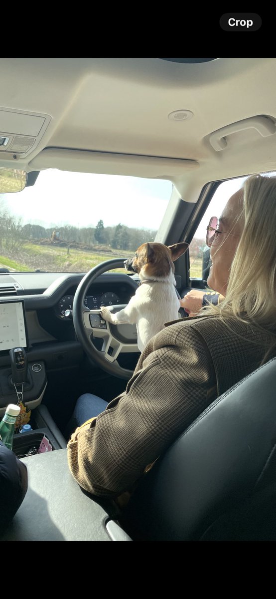 There’s a new chief in town 😉🐾