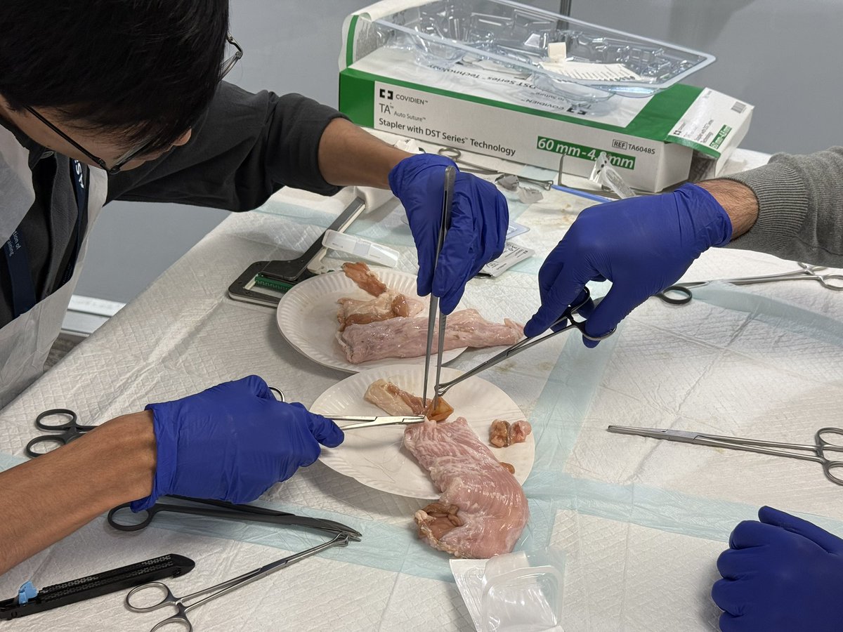 Orestis Argyriou (@orestisarg) on Twitter photo 💫 Over the moon for delivering the ASiT x Dukes’ Club Fundamentals of Coloproctology Course
👏 Inspiring faculty
👨🏫 Enthusiastic delegates
👌 Excellent organisation & setup
<a href="/ASiTofficial/">ASiT</a> <a href="/Dukes_Club/">The Dukes' Club</a> <a href="/charlotte_e_25/">Charlotte El-Sayed</a> 💫 Over the moon for delivering the ASiT x Dukes’ Club Fundamentals of Coloproctology Course
👏 Inspiring faculty
👨🏫 Enthusiastic delegates
👌 Excellent organisation & setup
<a href="/ASiTofficial/">ASiT</a> <a href="/Dukes_Club/">The Dukes' Club</a> <a href="/charlotte_e_25/">Charlotte El-Sayed</a>
