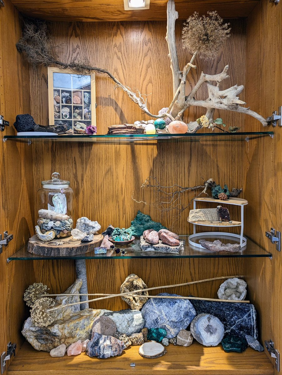 W Des Moines Library tweet media