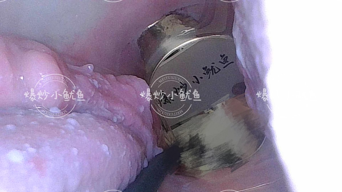 福利姬爆炒小鱿鱼分享的黄推图片2 - 网红私拍内容