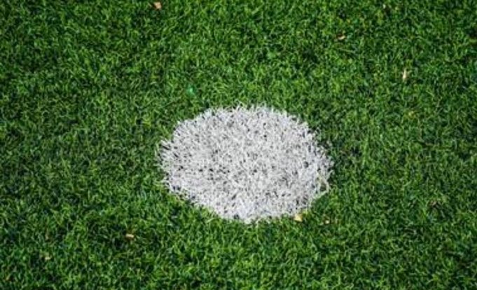 Lea_EFC's tweet image. Liverpool’s player of the season: