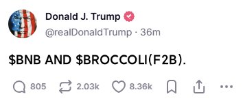 aladaos's tweet photo. @BenTodar $BNB&amp;$BROCCOLI https://t.co/3zbJGEeI8B