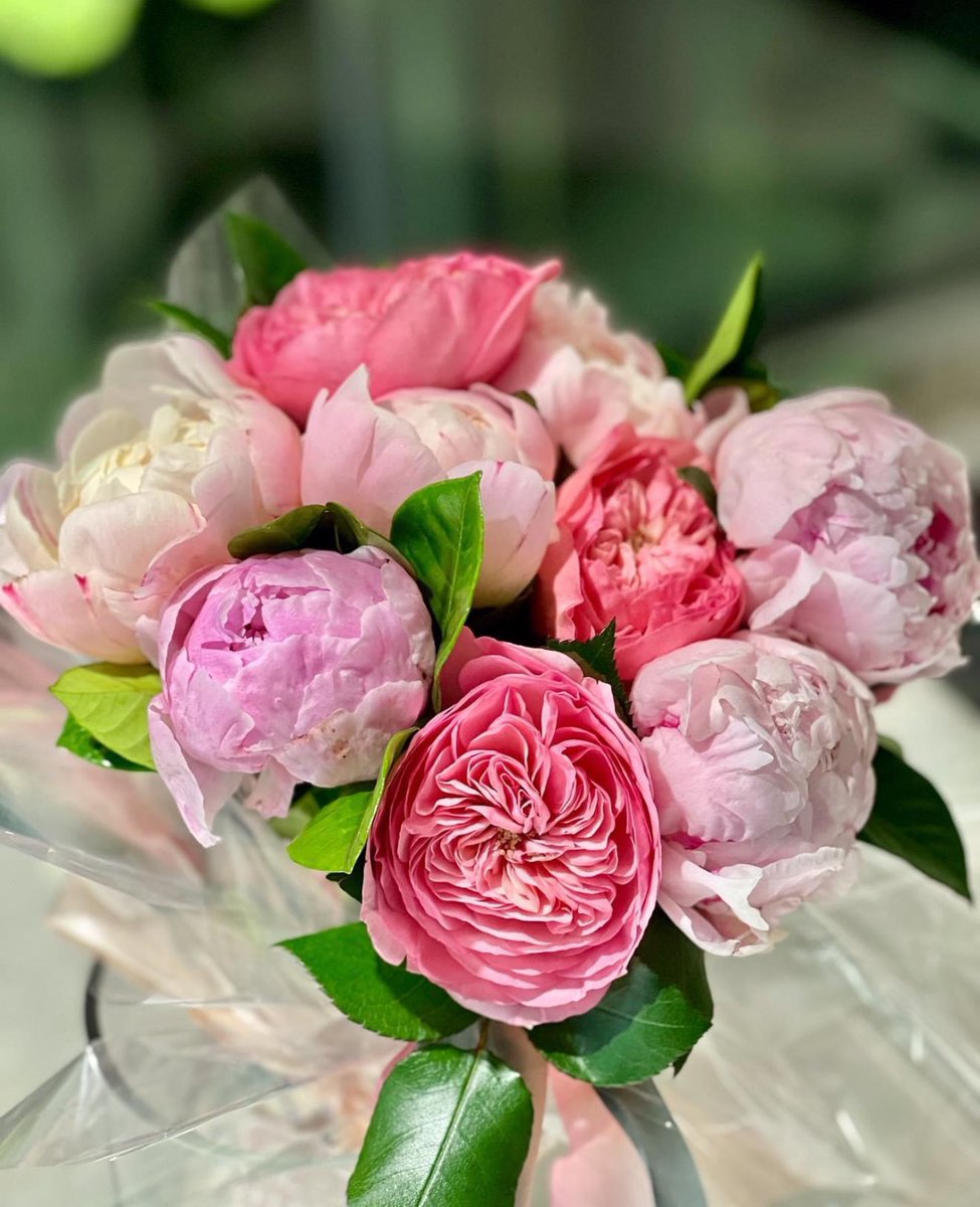 UnitedAidFoundation tweet media