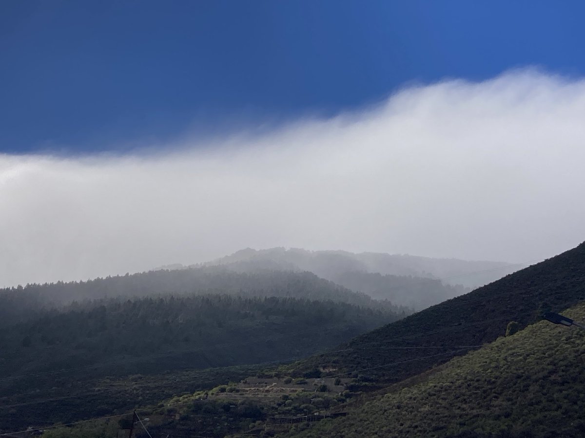gromandelgadog's tweet photo. #Dorsalcentral #Sures #Tenerife https://t.co/XgbgcEx84S