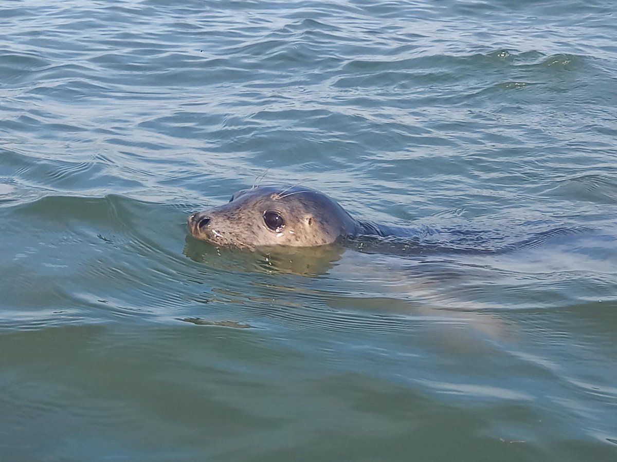 Outdoor Learning, at Bolton School boys division tweet media
