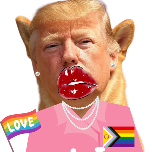 AANNNDDD THIIISS IS WHAT WHOULD HAVE HAPPENED TO ME IF BIDEN WON.