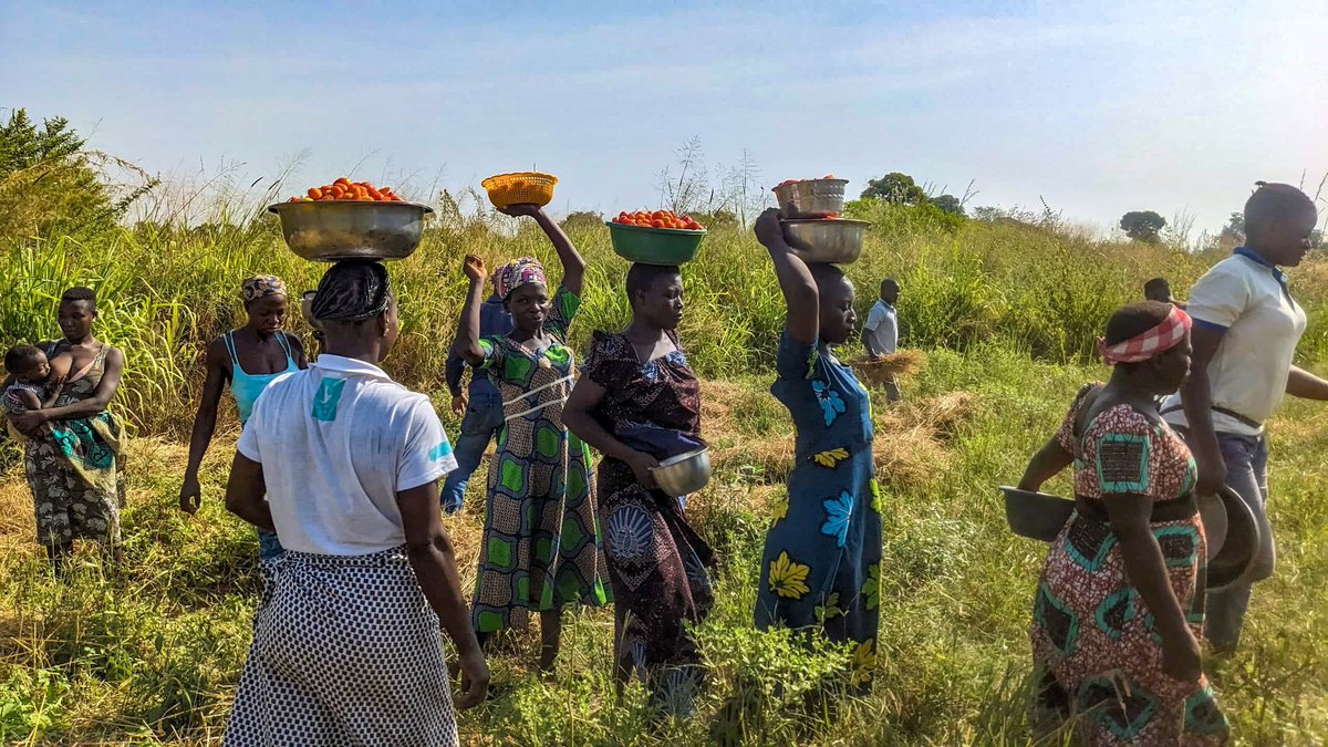 Pissiyou Sami Essokudjowu tweet media