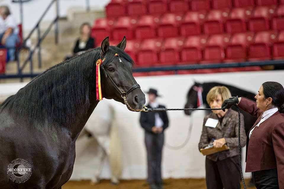 Fiero LFA what a legend ❤️