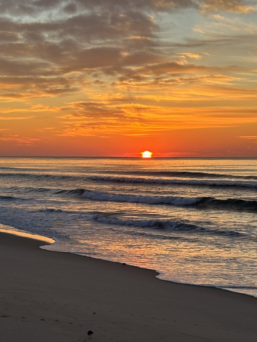 Renee Shawver tweet media