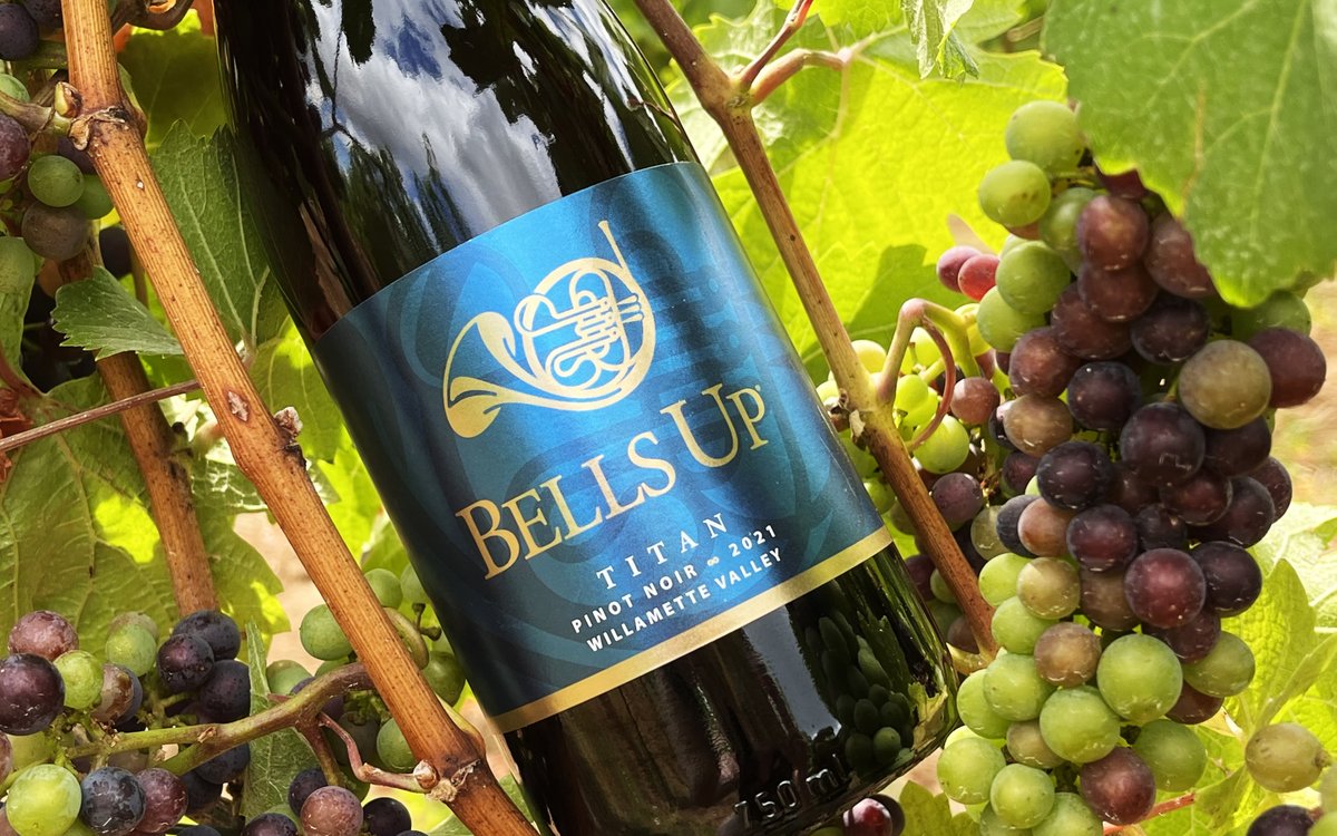 "Bells Up makes a wide range of excellent Pinot Noir releases that differ stylistically yet maintain a family characteristic—purity. The delicately framed [2021] Titan conveys a lighter, gentler expression." Michael Apstein, 90pts

Order >> 503.537.1328! 

bellsupwinery.com/2024/11/11/mic…
