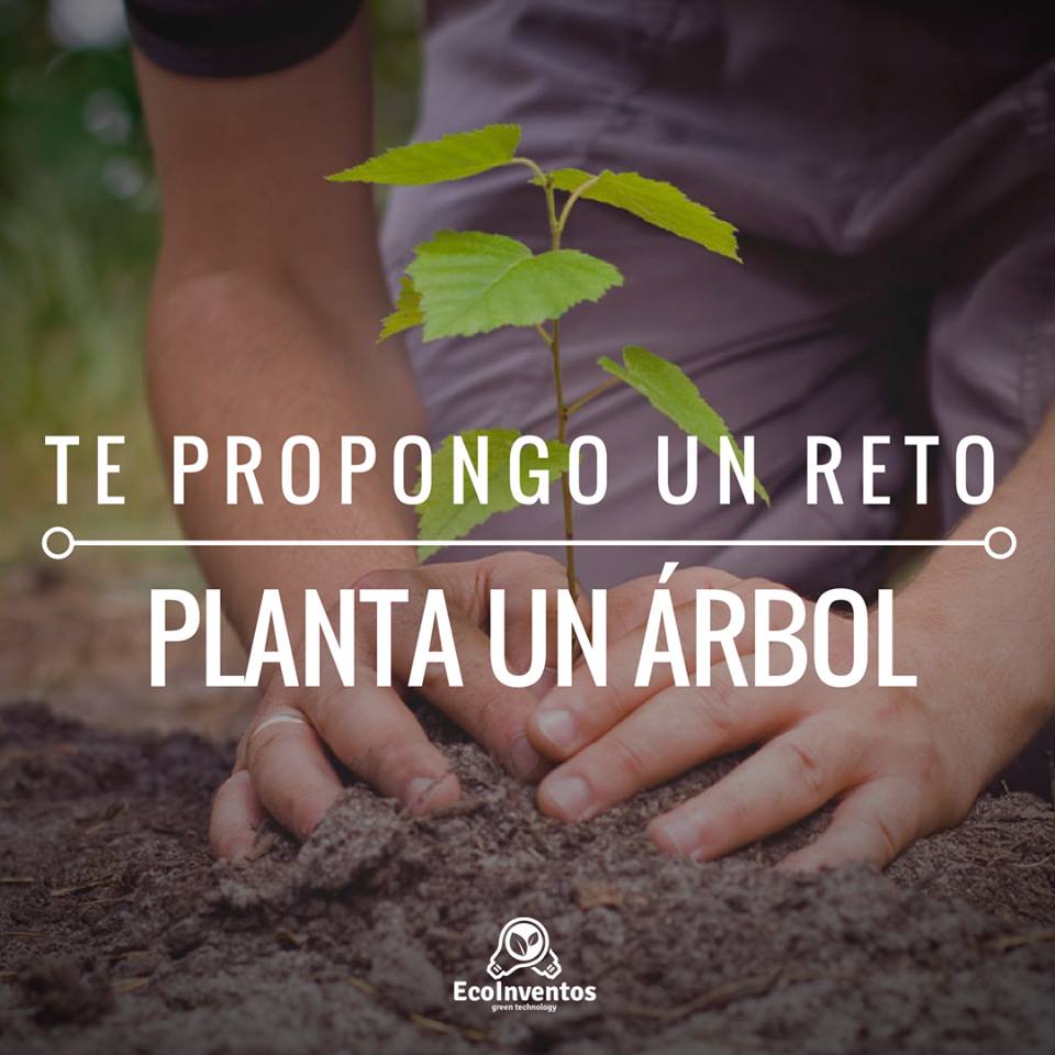 Te propongo un reto: 🌳