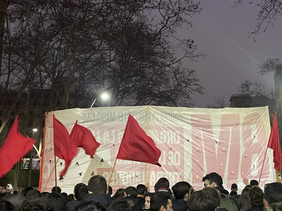 P 🇵🇸 tweet media