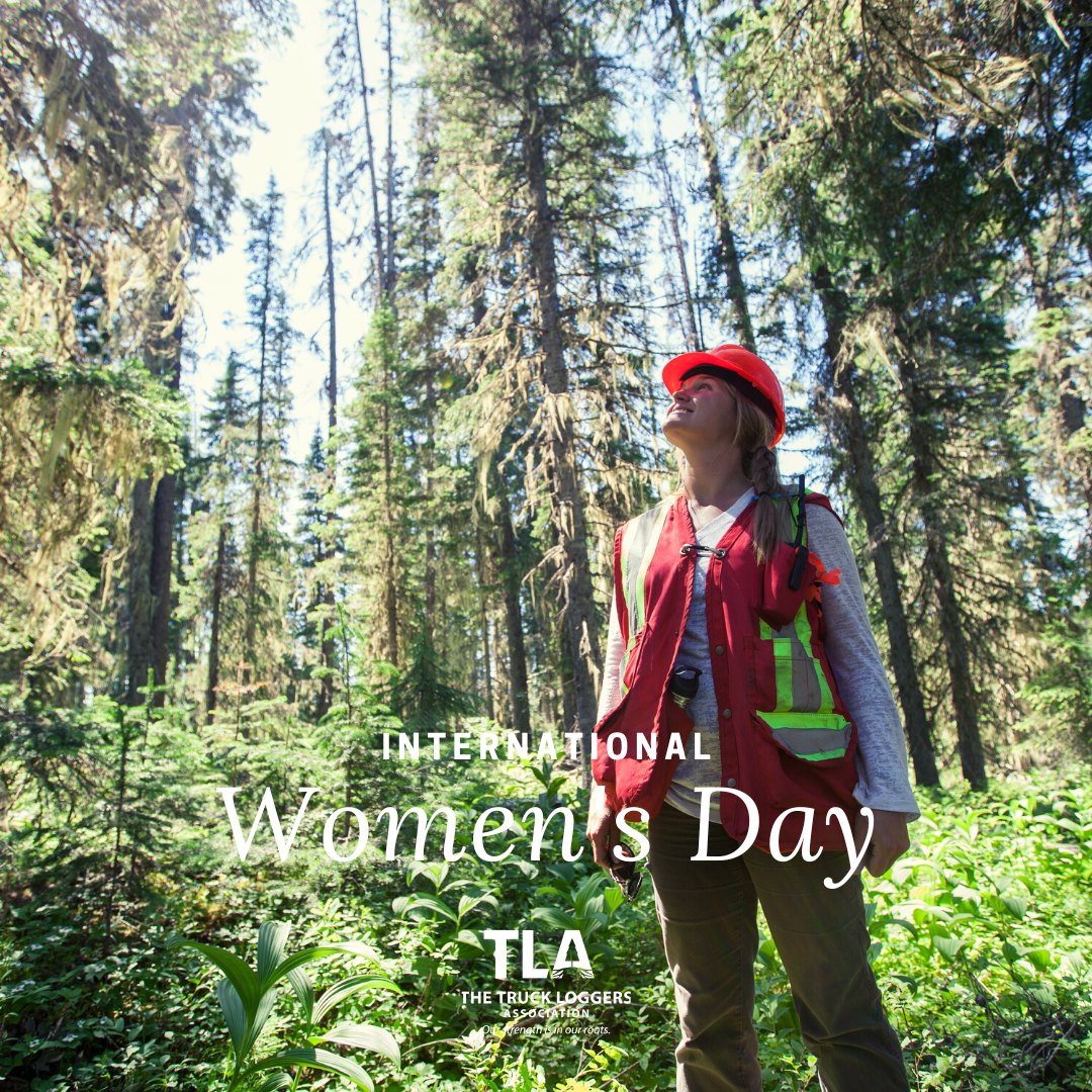 Join the TLA in acknowledging the hardworking women in forestry today on International Women's Day! 📷
#InternationalWomensDay