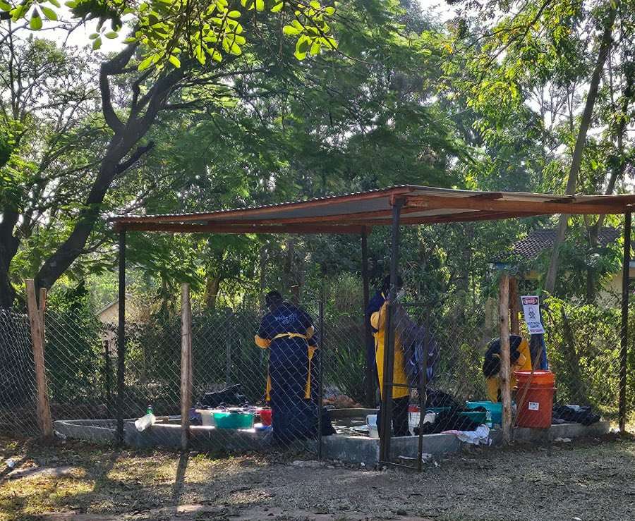 MOH_Kenya's tweet image. Busia County has achieved a significant milestone in malaria control, with Indoor Residual Spraying (IRS) covering 95.1% of targeted structures, effectively protecting approximately 2 million residents. This comprehensive coverage has contributed to a substantial decrease in…