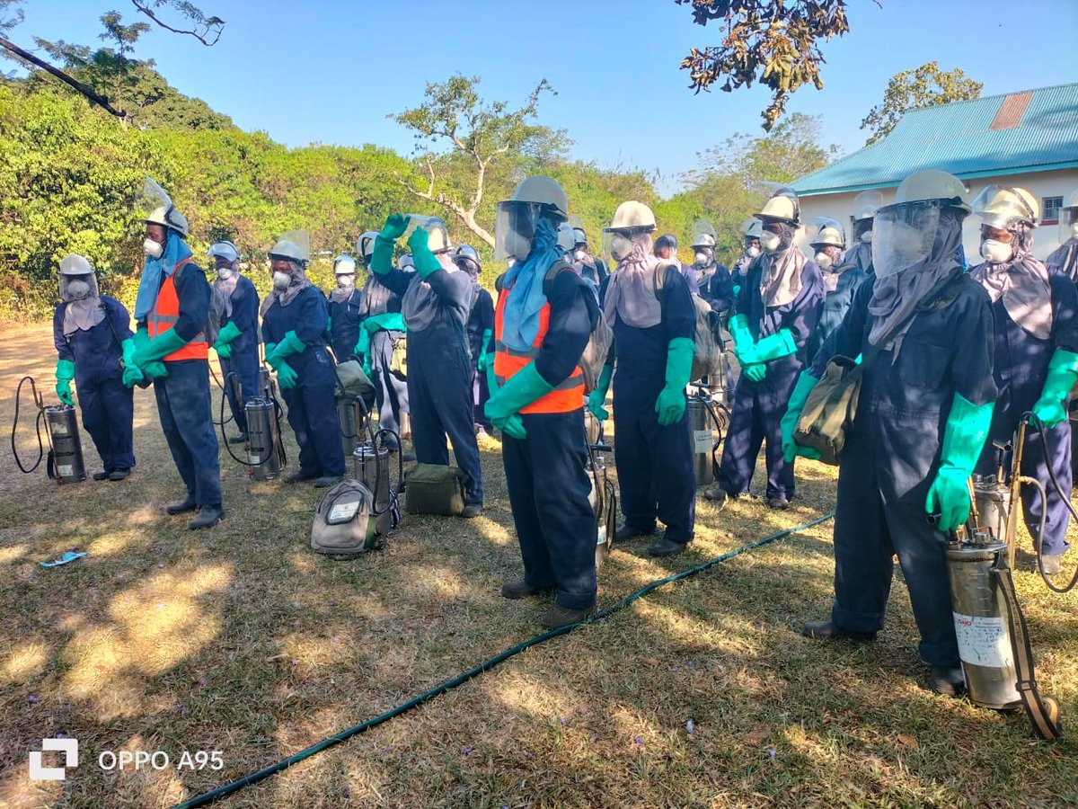 MOH_Kenya's tweet image. Busia County has achieved a significant milestone in malaria control, with Indoor Residual Spraying (IRS) covering 95.1% of targeted structures, effectively protecting approximately 2 million residents. This comprehensive coverage has contributed to a substantial decrease in…