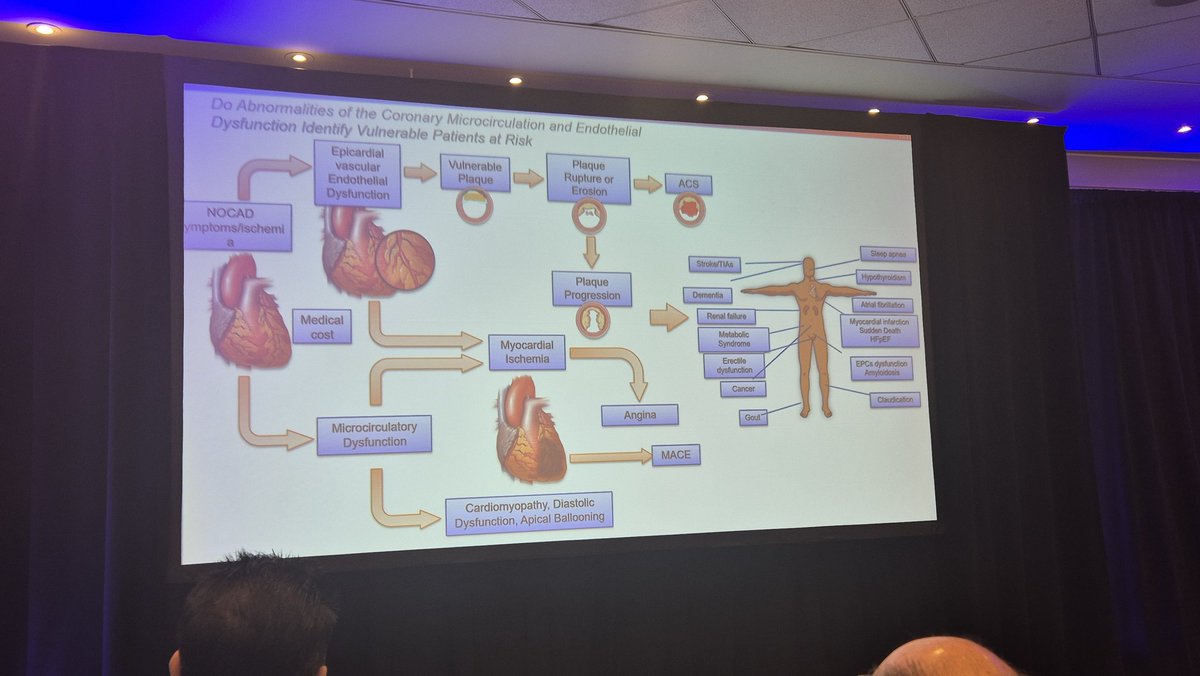 Dimitrios Terentes-Printzios (@dterentes) on Twitter photo Coming to #CRT2025, who would expect to see some old vascular aging friends <a href="/VascAgeNet/">VascAgeNet</a> <a href="/NAASociety/">North American Artery Society</a>. All experts agree that microvascular disease is systemic! Coming to #CRT2025, who would expect to see some old vascular aging friends <a href="/VascAgeNet/">VascAgeNet</a> <a href="/NAASociety/">North American Artery Society</a>. All experts agree that microvascular disease is systemic!