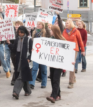 jaggumegigjendu's tweet image. Fra dagens 8nd mars demo i Lillehammer. Cheeesezzz