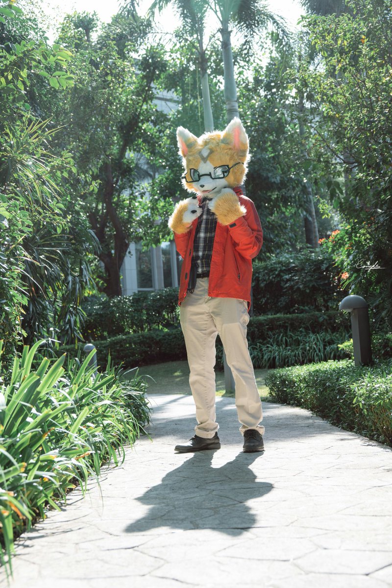#FursuitEveryday 
日光之下有新鮮的貓咪
📷: <a href="/Longde233/">隆德-Londer</a>