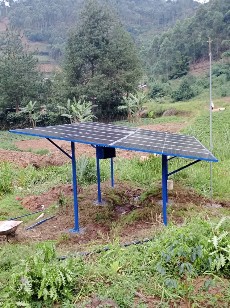 There's no sadness in the sunset.