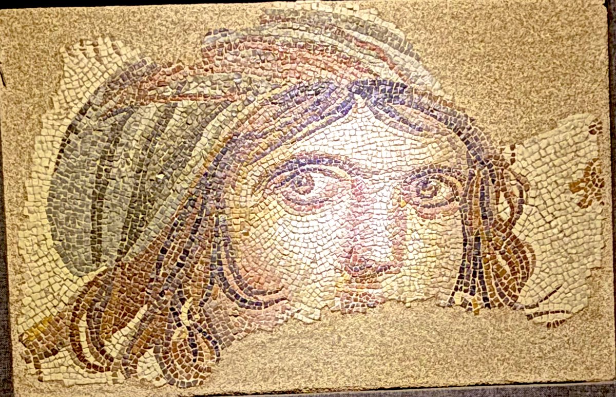 #ZeugmaMozaikMüzesi
#GaziAntep 
#ÇingeneKızı