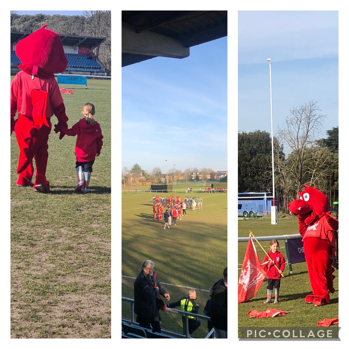tim_arthur87's tweet photo. Another @LondonWelshRFC win and now touching distance of league title. Thanks to @dragon_dewi Erin had a great time. See you in a few weeks for a promotion party 🤞🏼 https://t.co/rY1ALsEi9C