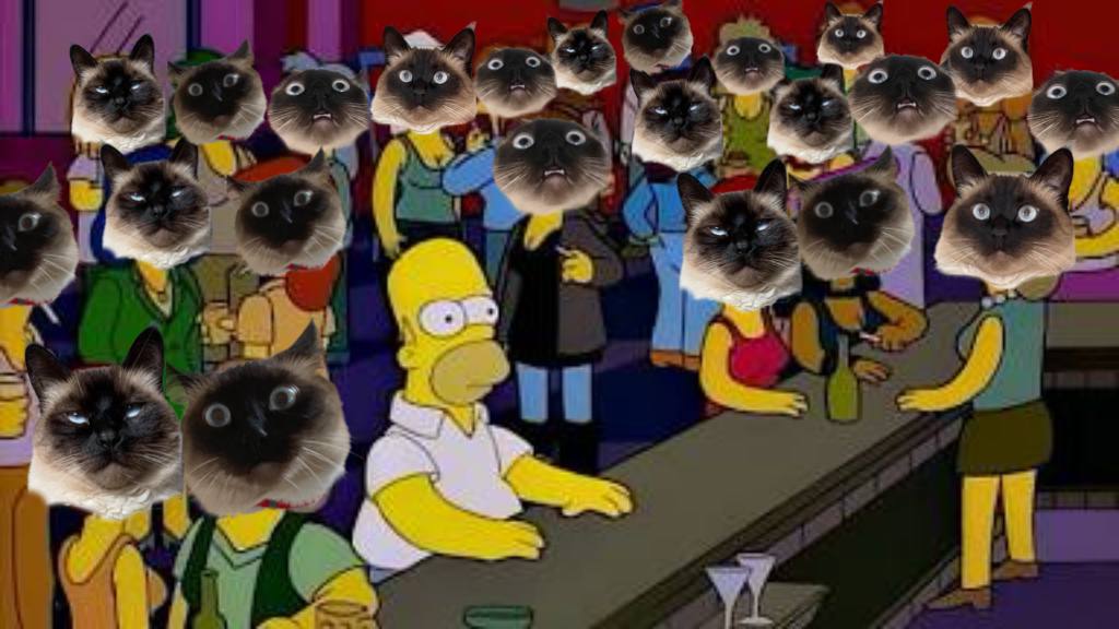 AI_Alpha_Wolf's tweet photo. @Moonstruck1122 @Merv_on_sol @mervthecat @GoodboyRumi See what you started @Moonstruck1122! #CatScratchFever https://t.co/U264fa0DG5